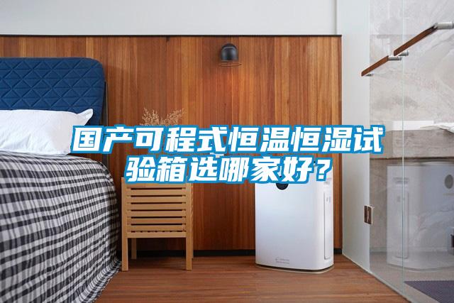 國產(chǎn)可程式恒溫恒濕試驗箱選哪家好？
