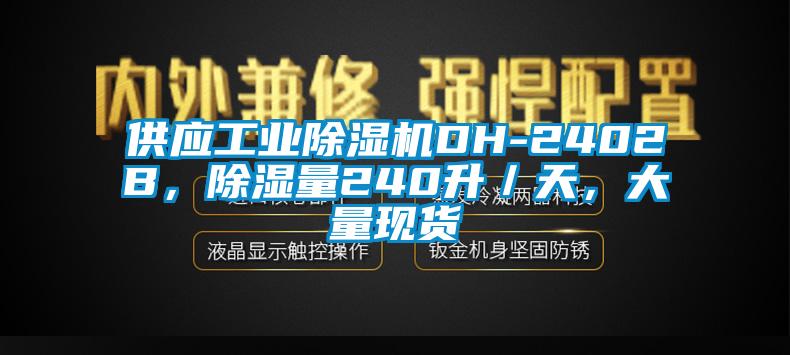 供應工業(yè)除濕機DH-2402B，除濕量240升／天，大量現貨