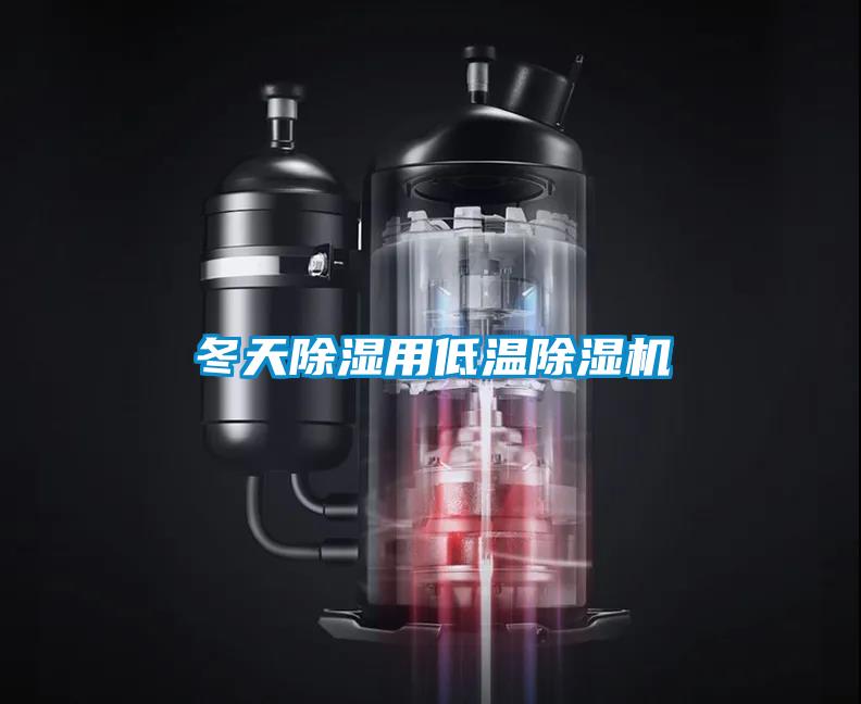 冬天除濕用低溫除濕機