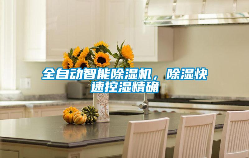 全自動(dòng)智能除濕機，除濕快速控濕精確