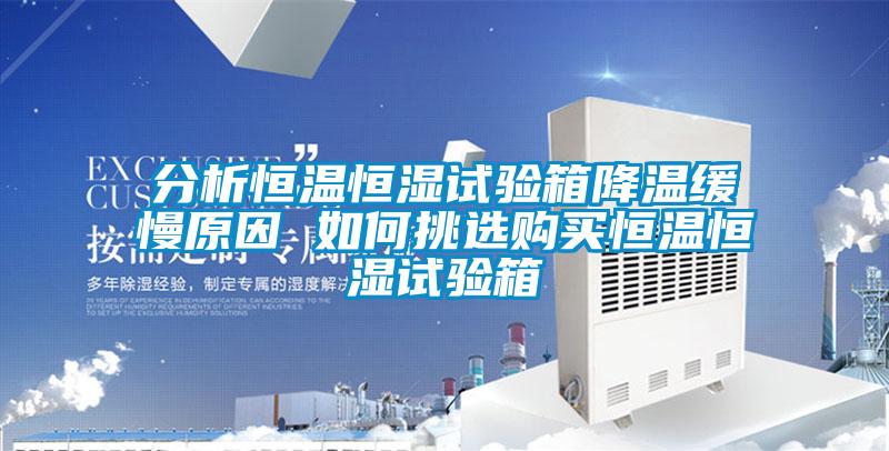 分析恒溫恒濕試驗箱降溫緩慢原因 如何挑選購買(mǎi)恒溫恒濕試驗箱