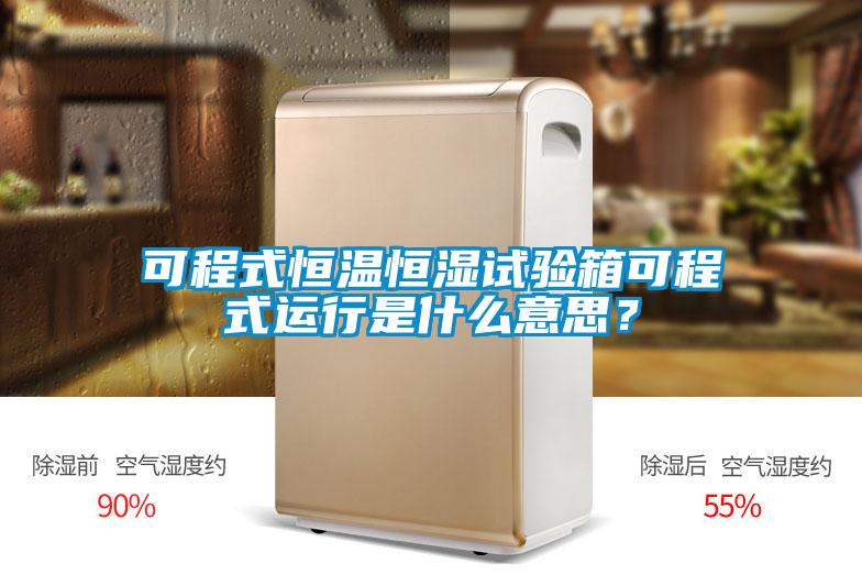 可程式恒溫恒濕試驗箱可程式運行是什么意思？