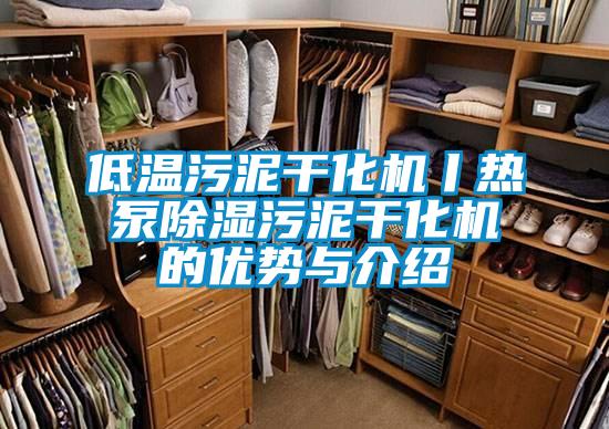 低溫污泥干化機丨熱泵除濕污泥干化機的優(yōu)勢與介紹