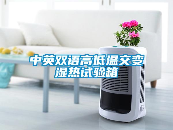 中英雙語(yǔ)高低溫交變濕熱試驗箱