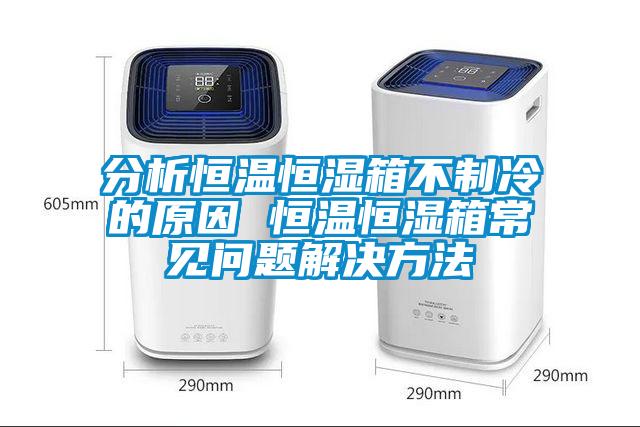 分析恒溫恒濕箱不制冷的原因 恒溫恒濕箱常見(jiàn)問(wèn)題解決方法