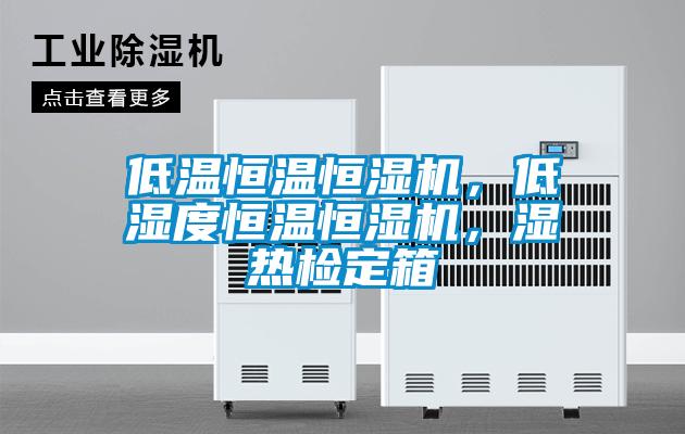 低溫恒溫恒濕機，低濕度恒溫恒濕機，濕熱檢定箱