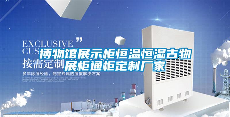 博物館展示柜恒溫恒濕古物展柜通柜定制廠(chǎng)家