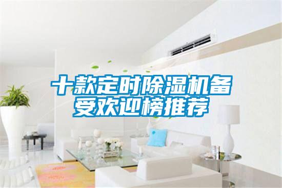 十款定時(shí)除濕機備受歡迎榜推薦