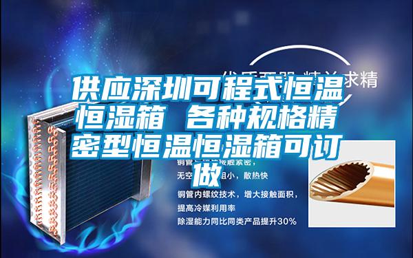 供應深圳可程式恒溫恒濕箱 各種規格精密型恒溫恒濕箱可訂做