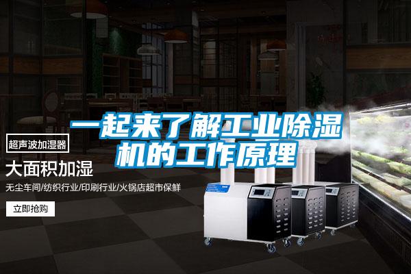 一起來(lái)了解工業(yè)除濕機的工作原理
