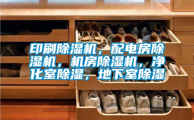 印刷除濕機，配電房除濕機，機房除濕機，凈化室除濕，地下室除濕