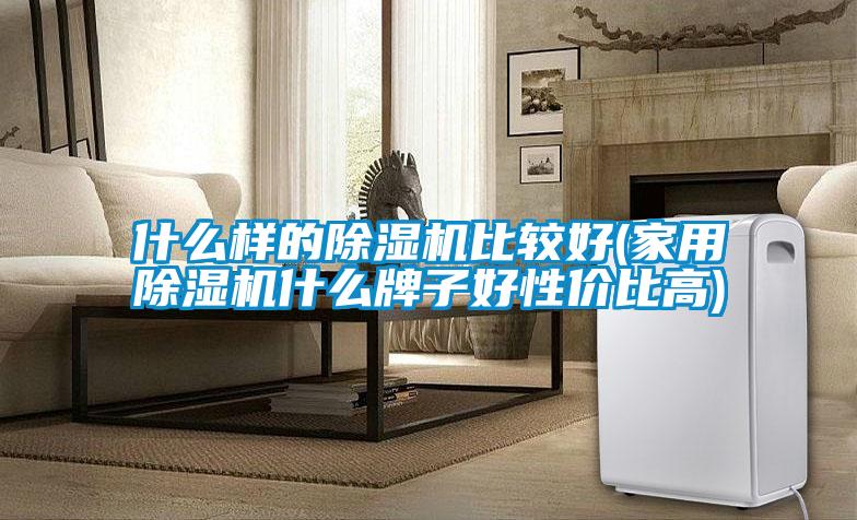 什么樣的除濕機比較好(家用除濕機什么牌子好性?xún)r(jià)比高)