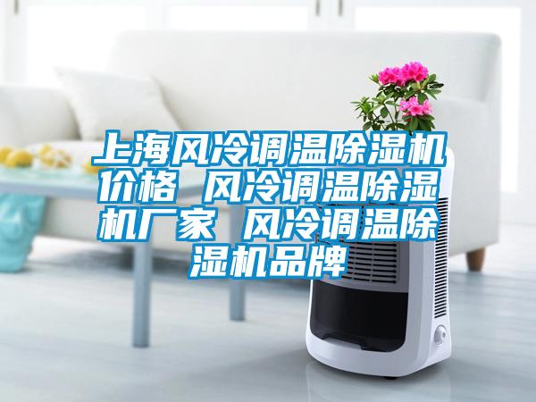 上海風(fēng)冷調溫除濕機價(jià)格 風(fēng)冷調溫除濕機廠(chǎng)家 風(fēng)冷調溫除濕機品牌