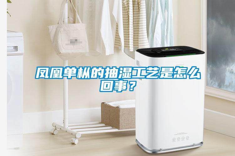 鳳凰單樅的抽濕工藝是怎么回事？