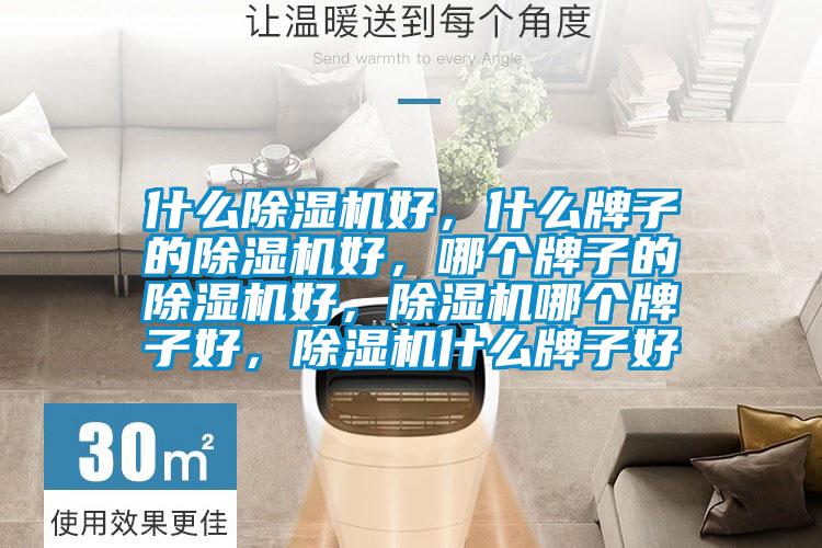什么除濕機好，什么牌子的除濕機好，哪個(gè)牌子的除濕機好，除濕機哪個(gè)牌子好，除濕機什么牌子好