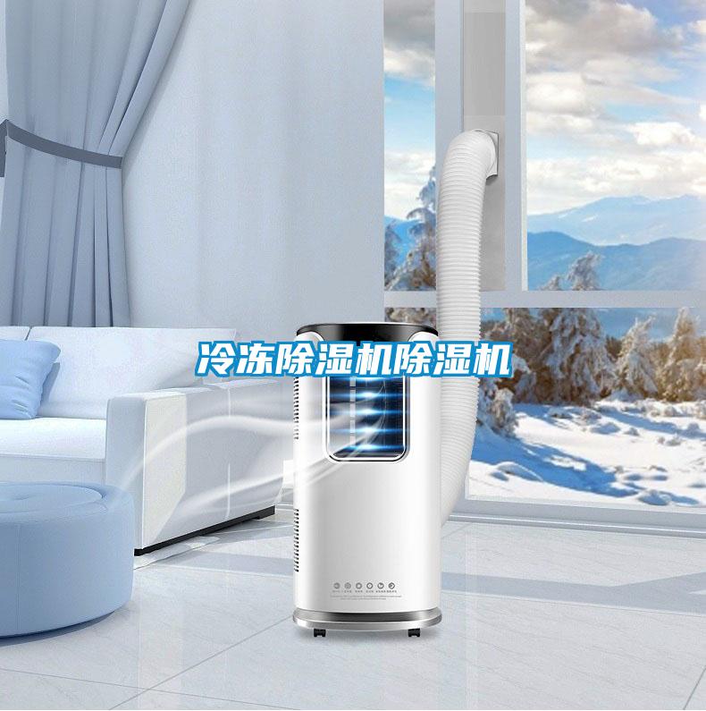 冷凍除濕機除濕機
