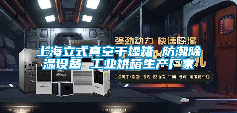 上海立式真空干燥箱 防潮除濕設備 工業(yè)烘箱生產(chǎn)廠(chǎng)家