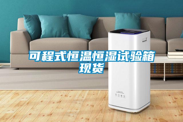 可程式恒溫恒濕試驗箱現貨