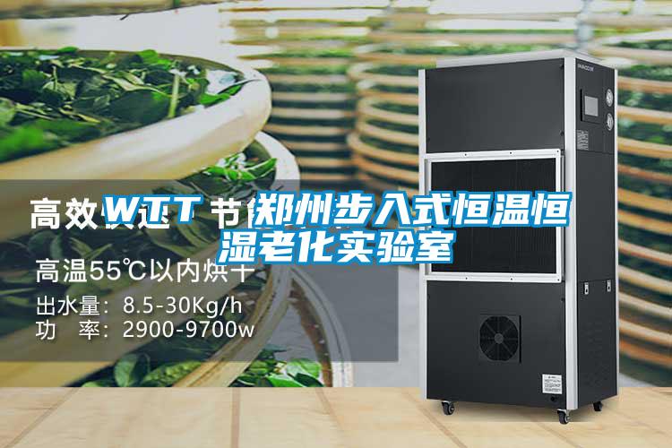 WTT  鄭州步入式恒溫恒濕老化實(shí)驗室