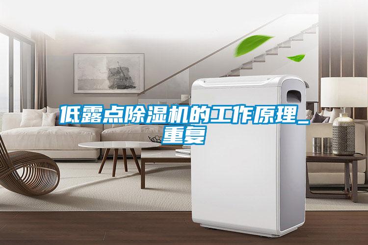 低露點(diǎn)除濕機的工作原理_重復