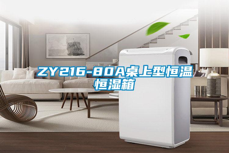 ZY216-80A桌上型恒溫恒濕箱