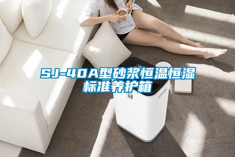 SJ-40A型砂漿恒溫恒濕標準養護箱