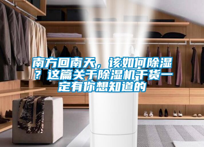 南方回南天，該如何除濕？這篇關(guān)于除濕機干貨一定有你想知道的