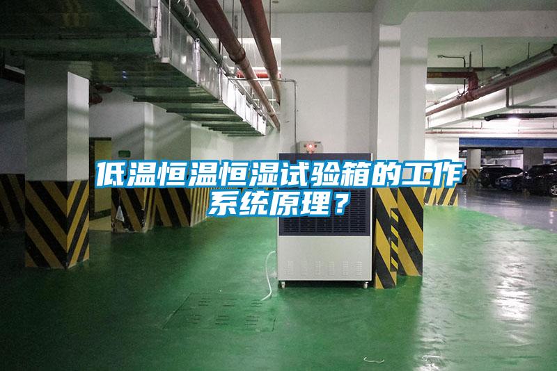 低溫恒溫恒濕試驗箱的工作系統原理？