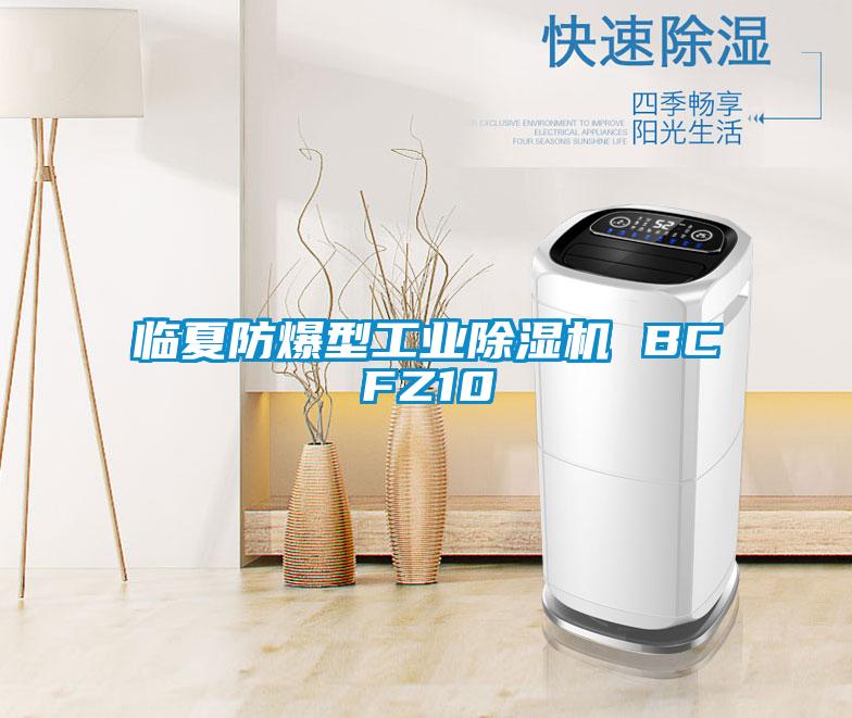 臨夏防爆型工業(yè)除濕機 BCFZ10