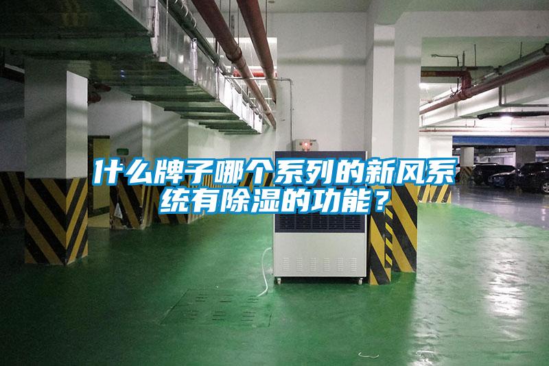 什么牌子哪個(gè)系列的新風(fēng)系統有除濕的功能？