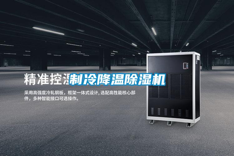 制冷降溫除濕機