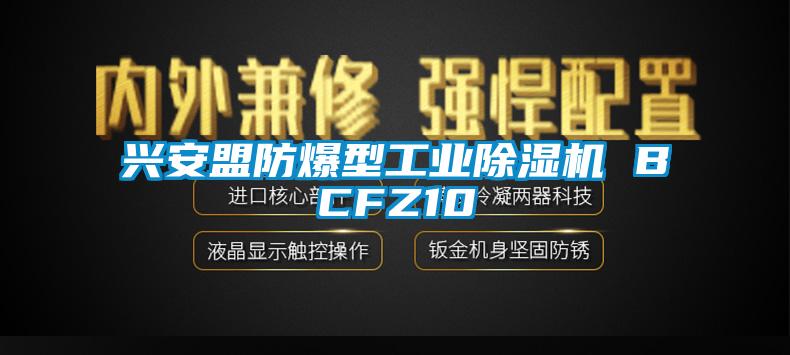 興安盟防爆型工業(yè)除濕機 BCFZ10