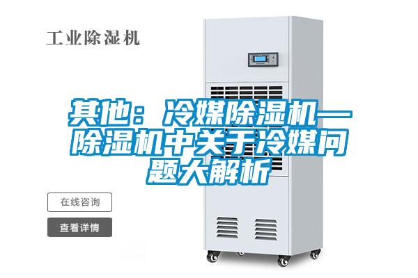 其他：冷媒除濕機—除濕機中關(guān)于冷媒問(wèn)題大解析