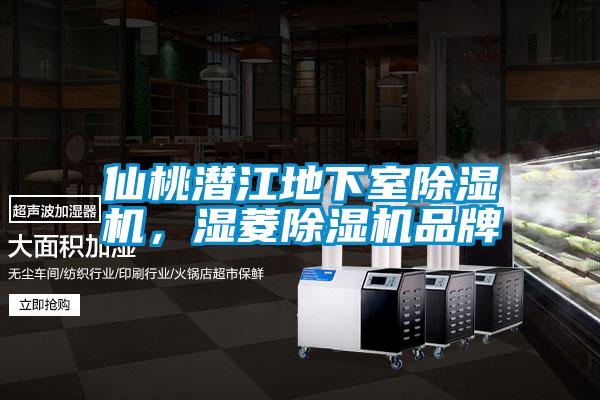 仙桃潛江地下室除濕機，濕菱除濕機品牌