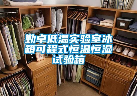勤卓低溫實(shí)驗室冰箱可程式恒溫恒濕試驗箱