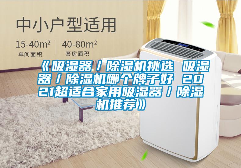 《吸濕器／除濕機挑選 吸濕器／除濕機哪個(gè)牌子好 2021超適合家用吸濕器／除濕機推薦》