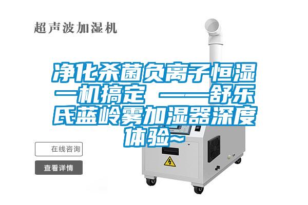 凈化殺菌負離子恒濕一機搞定 ——舒樂(lè )氏藍嶺霧加濕器深度體驗~