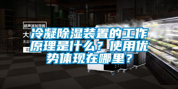 冷凝除濕裝置的工作原理是什么？使用優(yōu)勢體現在哪里？