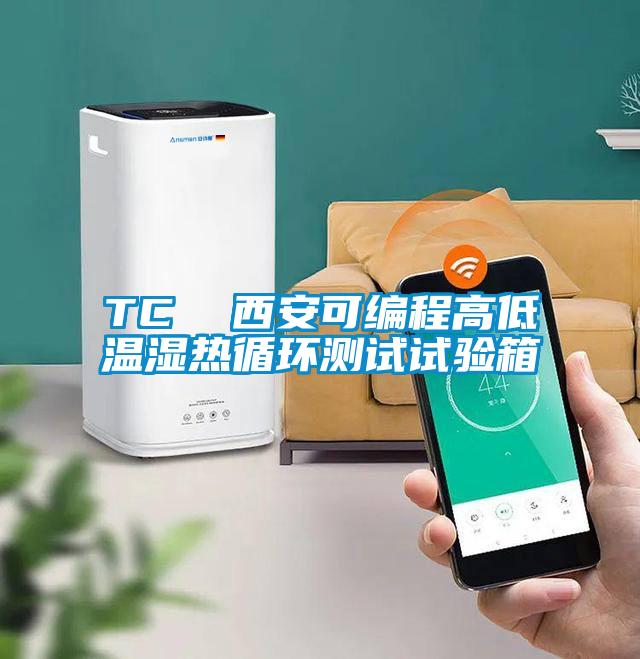 TC  西安可編程高低溫濕熱循環(huán)測試試驗箱