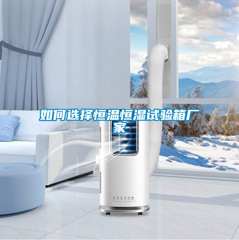 如何選擇恒溫恒濕試驗箱廠(chǎng)家