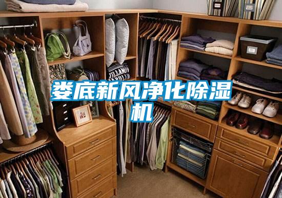 婁底新風(fēng)凈化除濕機