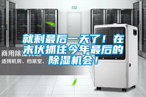 就剩最后一天了！在末伏抓住今年最后的除濕機會(huì )！
