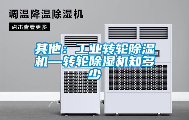 其他：工業(yè)轉輪除濕機—轉輪除濕機知多少