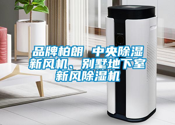 品牌柏朗 中央除濕新風(fēng)機、別墅地下室新風(fēng)除濕機