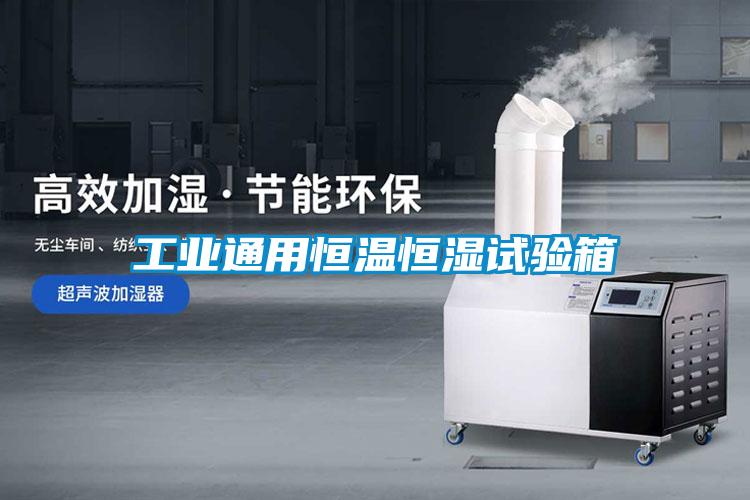 工業(yè)通用恒溫恒濕試驗箱