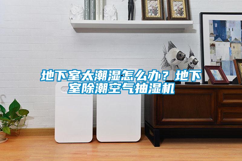 地下室太潮濕怎么辦？地下室除潮空氣抽濕機