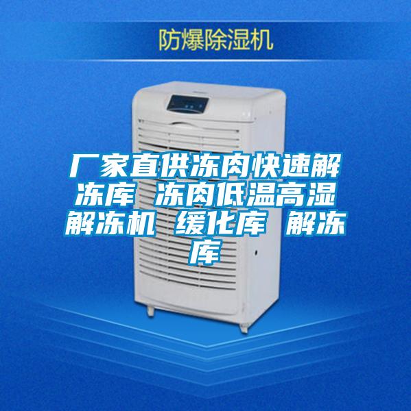 廠(chǎng)家直供凍肉快速解凍庫 凍肉低溫高濕解凍機 緩化庫 解凍庫