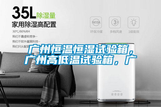 廣州恒溫恒濕試驗箱，廣州高低溫試驗箱，廣