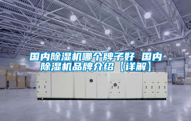 國內除濕機哪個(gè)牌子好 國內除濕機品牌介紹【詳解】