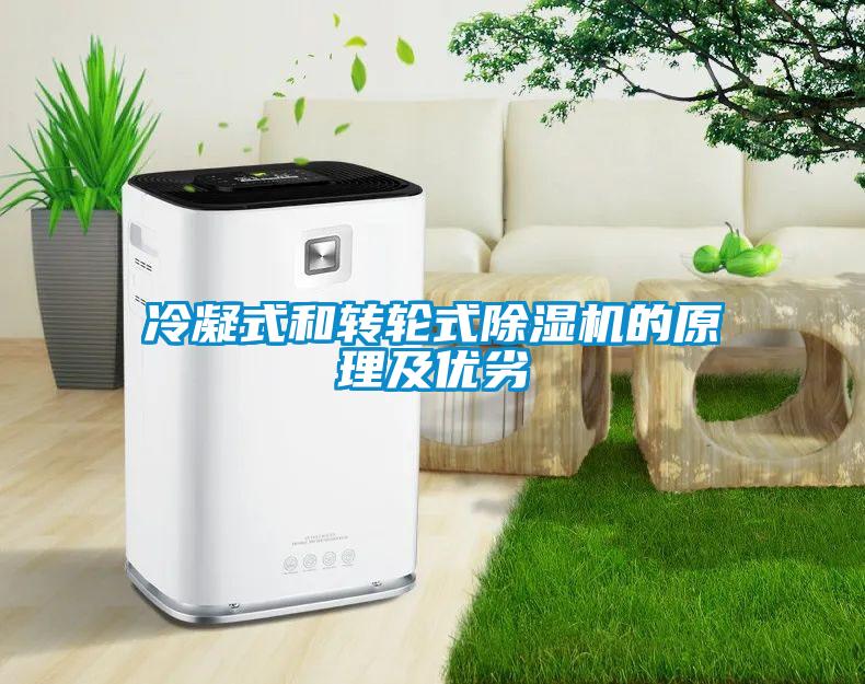 冷凝式和轉輪式除濕機的原理及優(yōu)劣